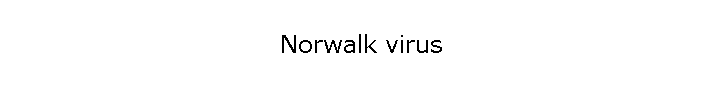 Norwalk virus